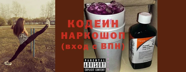 соль ск Сосновоборск