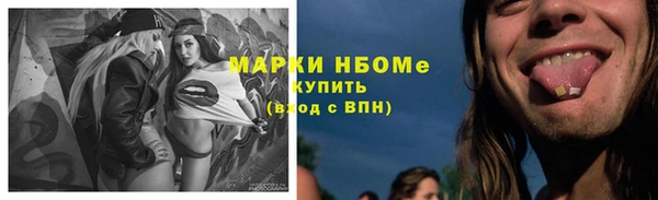 соль ск Сосновоборск