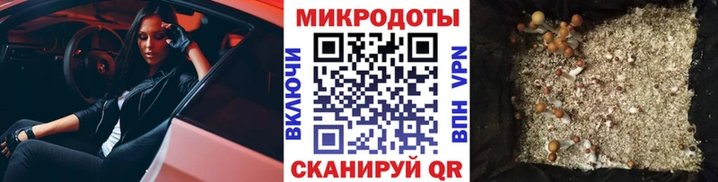 что такое   Нюрба  kraken ТОР  Галлюциногенные грибы Magic Shrooms 
